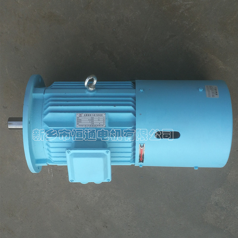 Long-term stall torque motor。